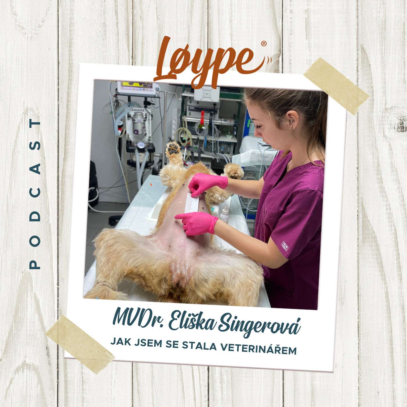 Løype podcast