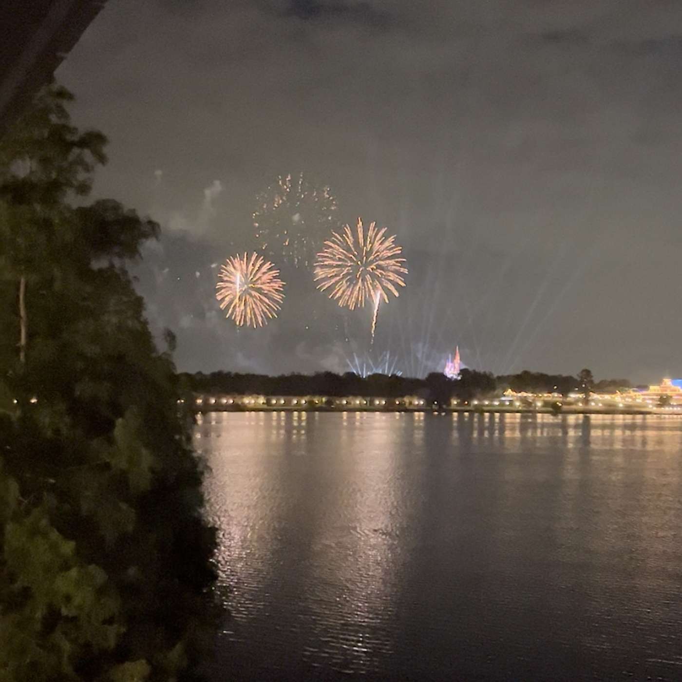 DVC for Adults - The Basics