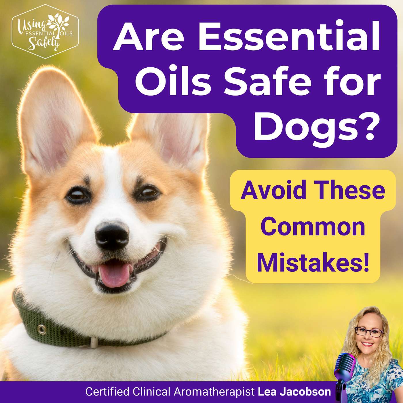 Are Essential Oils Safe for Dogs? Avoid These Common Mistakes...