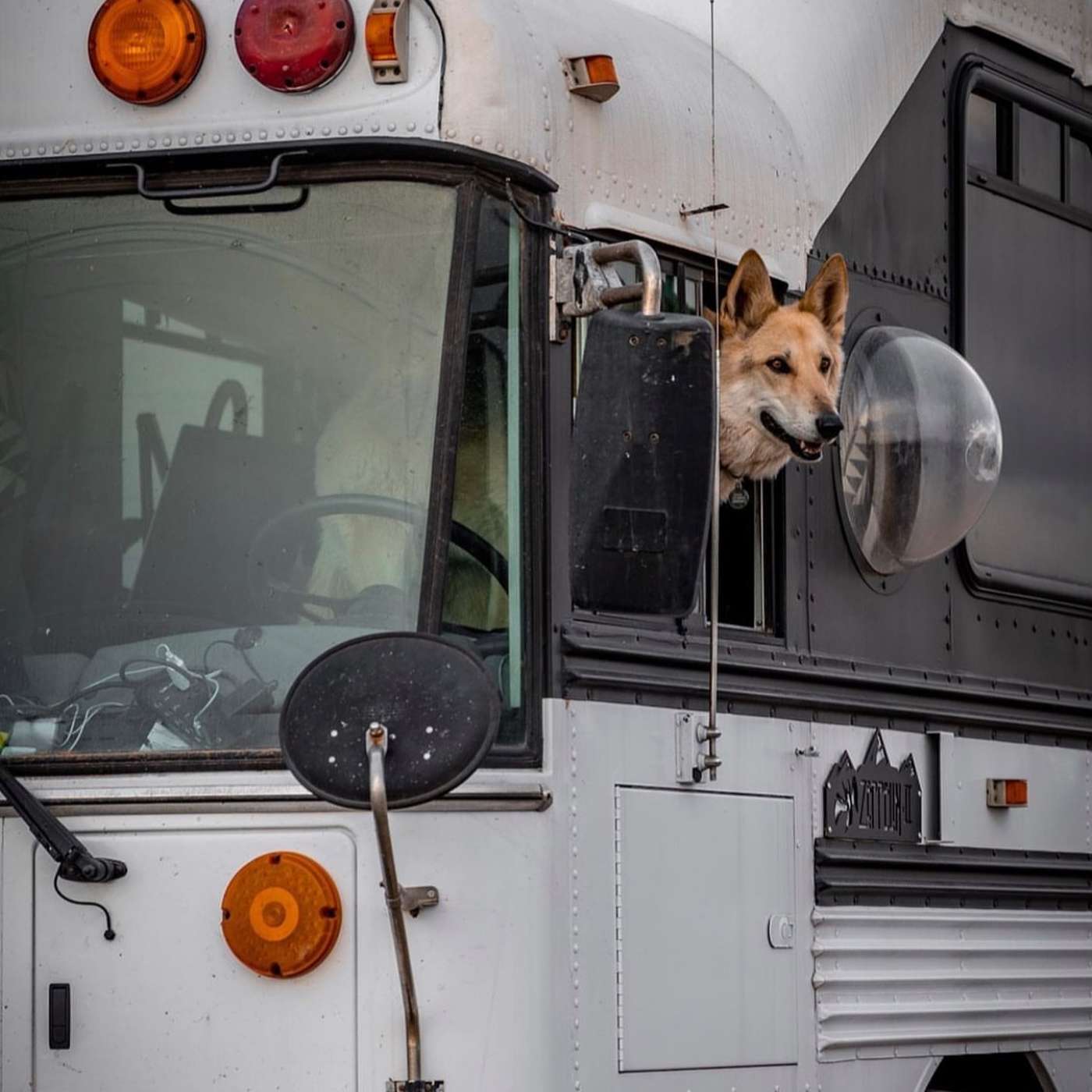 Tiny Home Tours