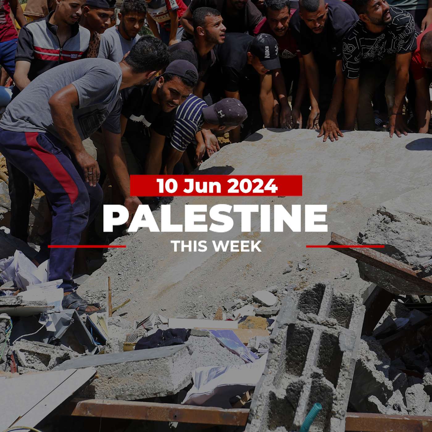 Palestine This Week