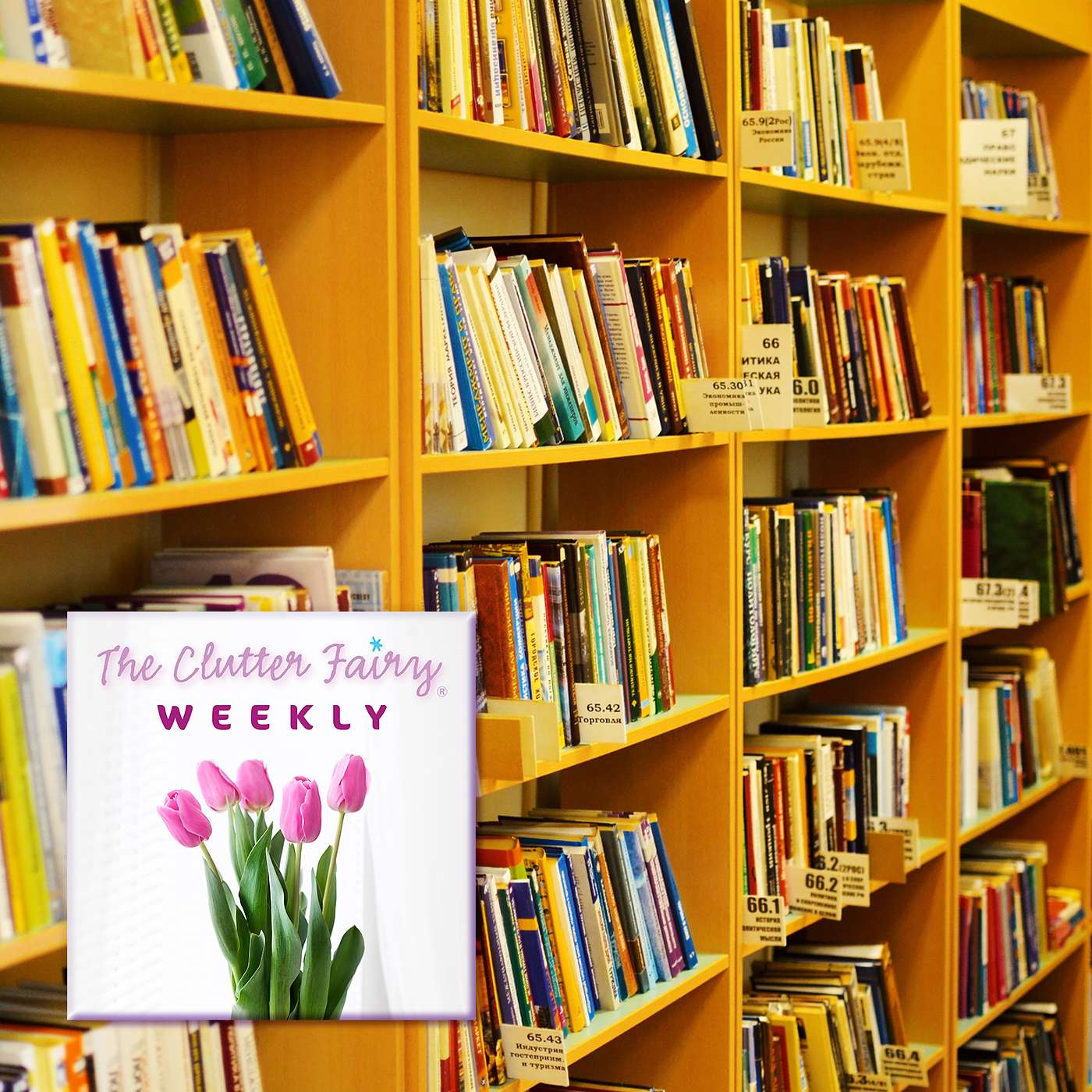 The Clutter Fairy Weekly #33 - Escaping the Stacks: A Saner Approach to Books and Magazines