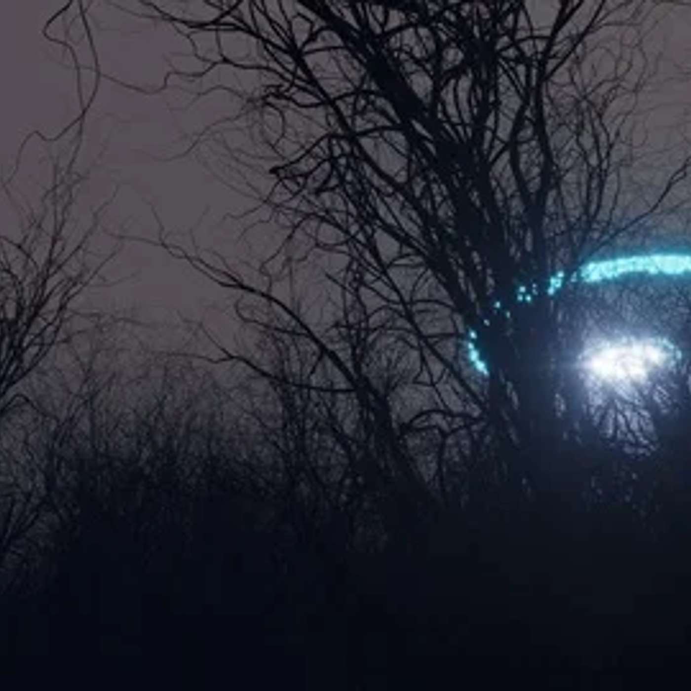 Yoruba Cosmology and the UFO Question