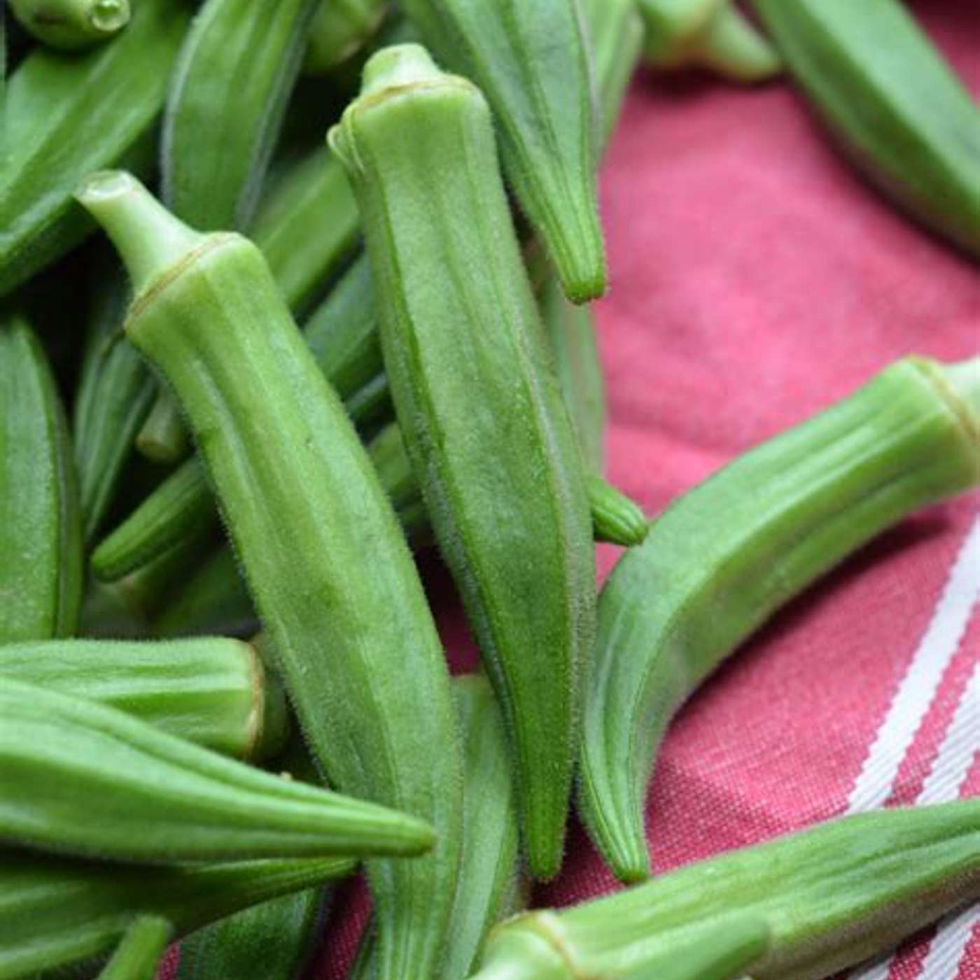 Okra, a great summer veggie