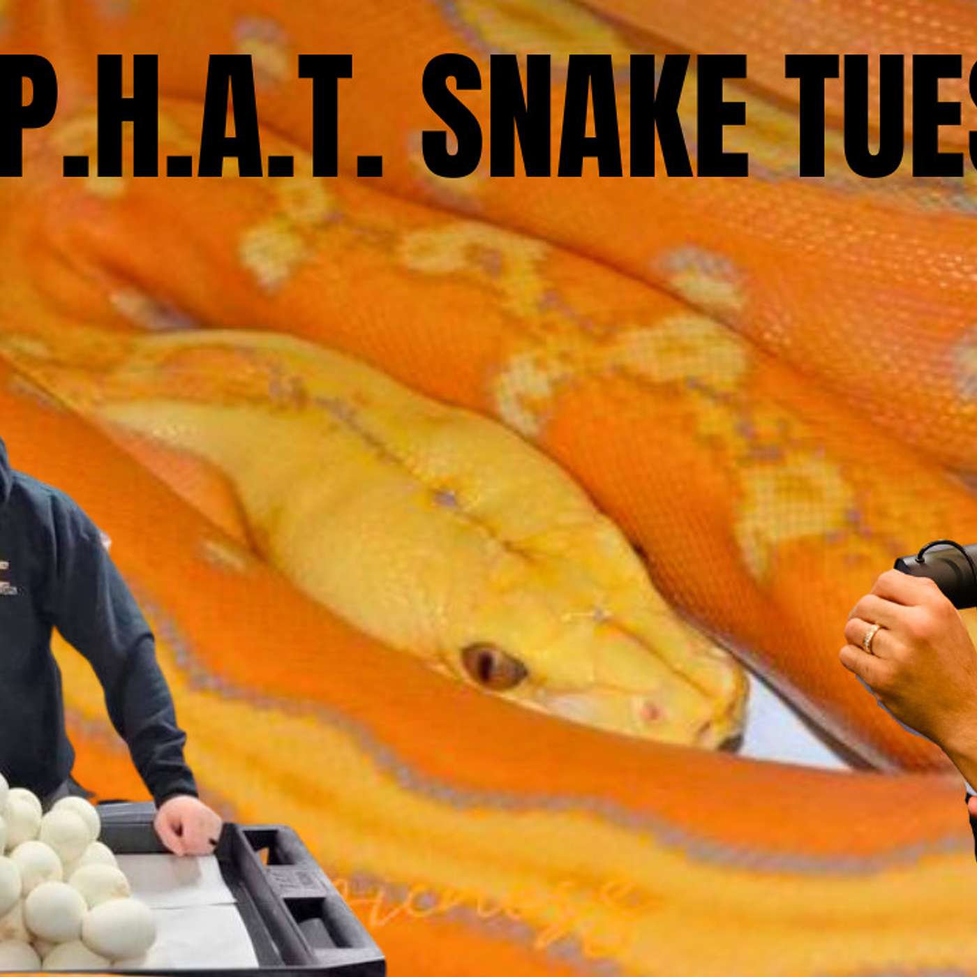 Is Shane Castello done with the Reticulated Python community?