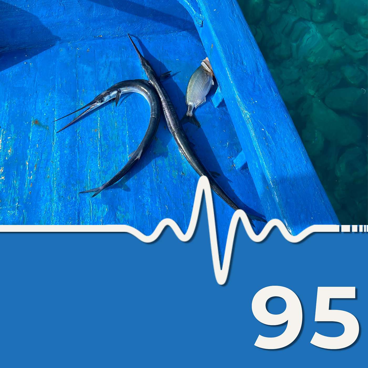 Woman Killed by Needlefish #scuba #news #podcast
