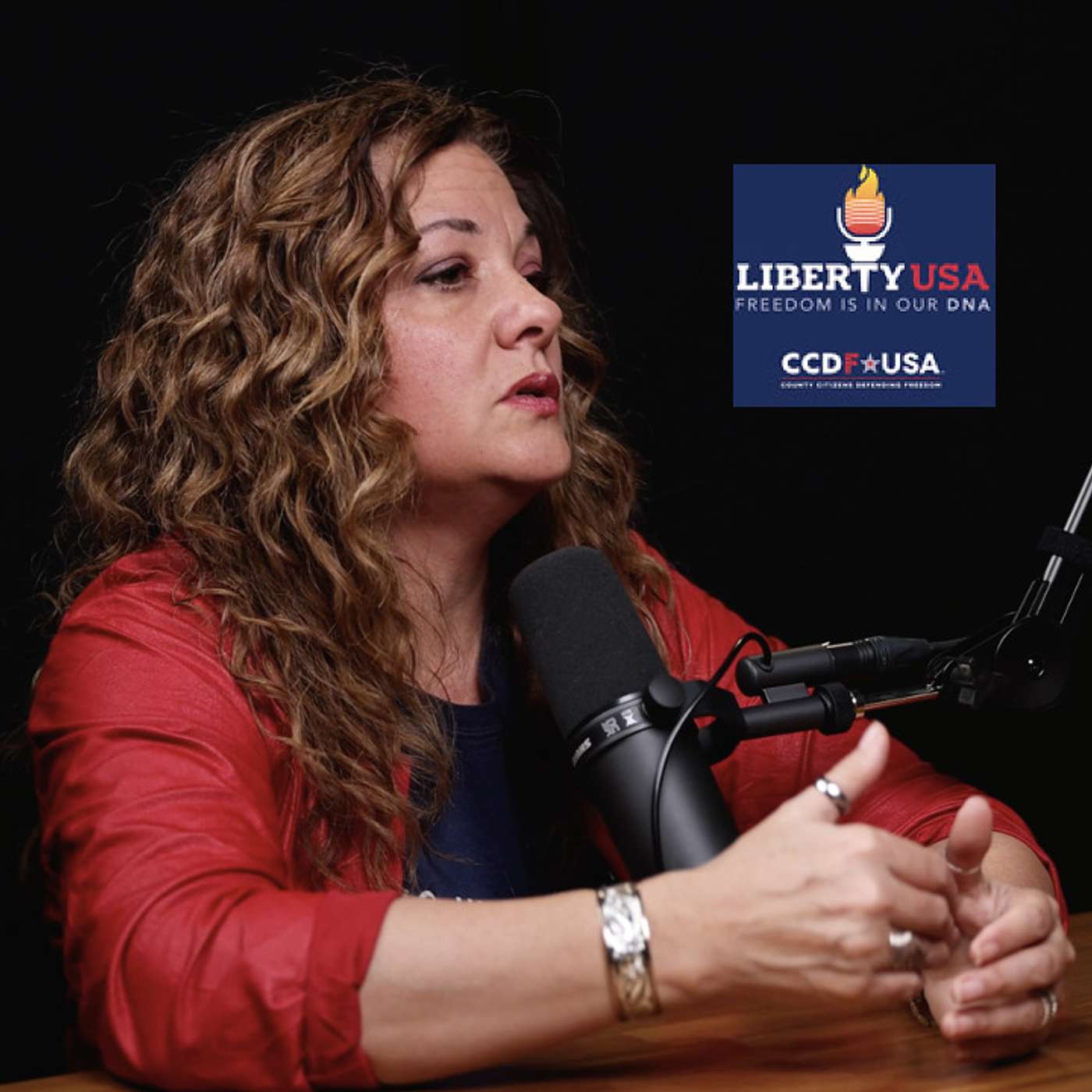 PART 2- Constitutional Attorney KrisAnne Hall Sits Down with Citizens Defending Freedom episode artwork