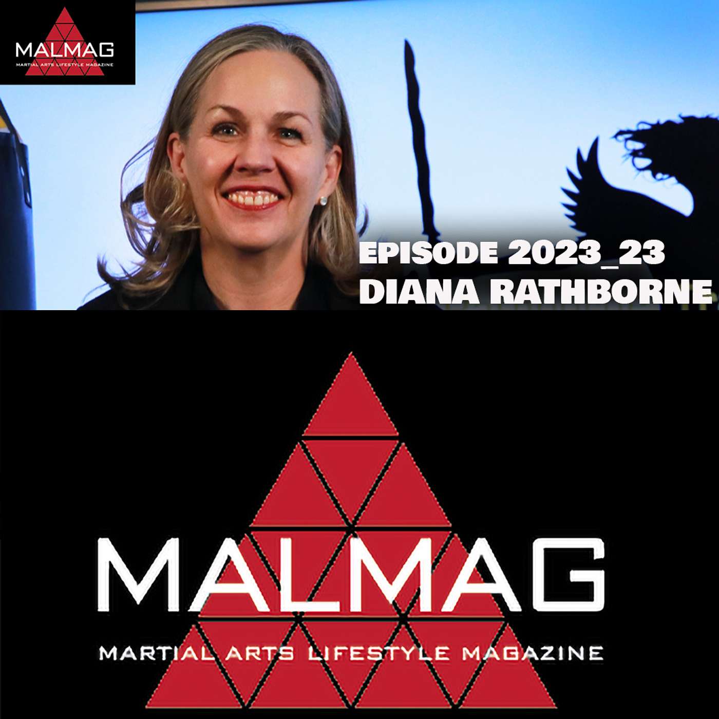 The Martial Arts Lifestyle Podcast