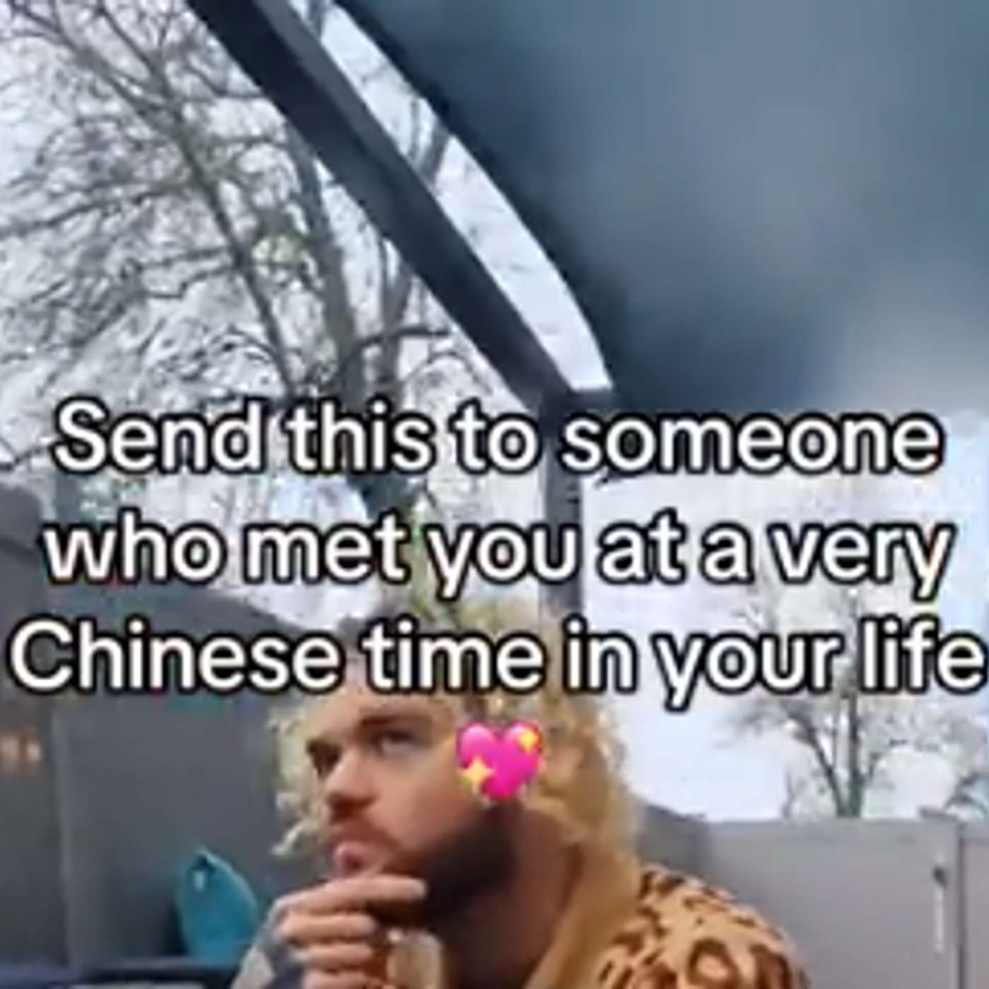 272・I'm Tired of Being Not Chinese 272・I'm Tired of Being Not Chinese