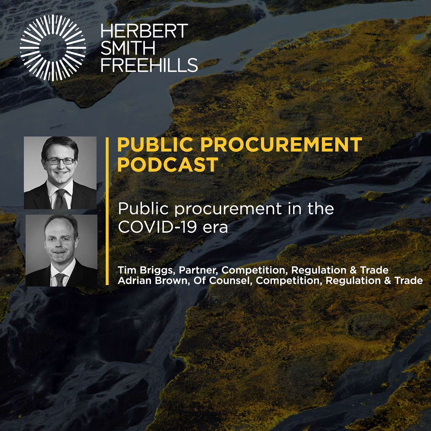 Public procurement podcast: Public procurement in the COVID-19 era episode artwork