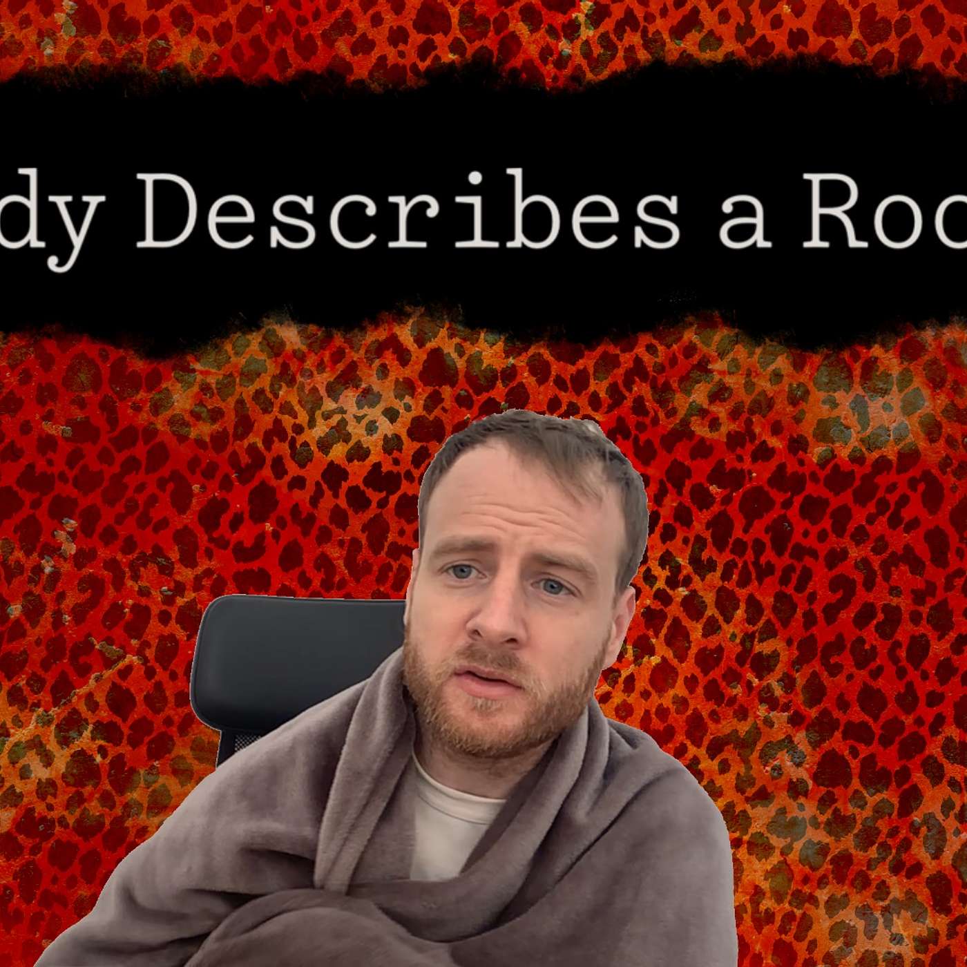 Andy Describes a Room