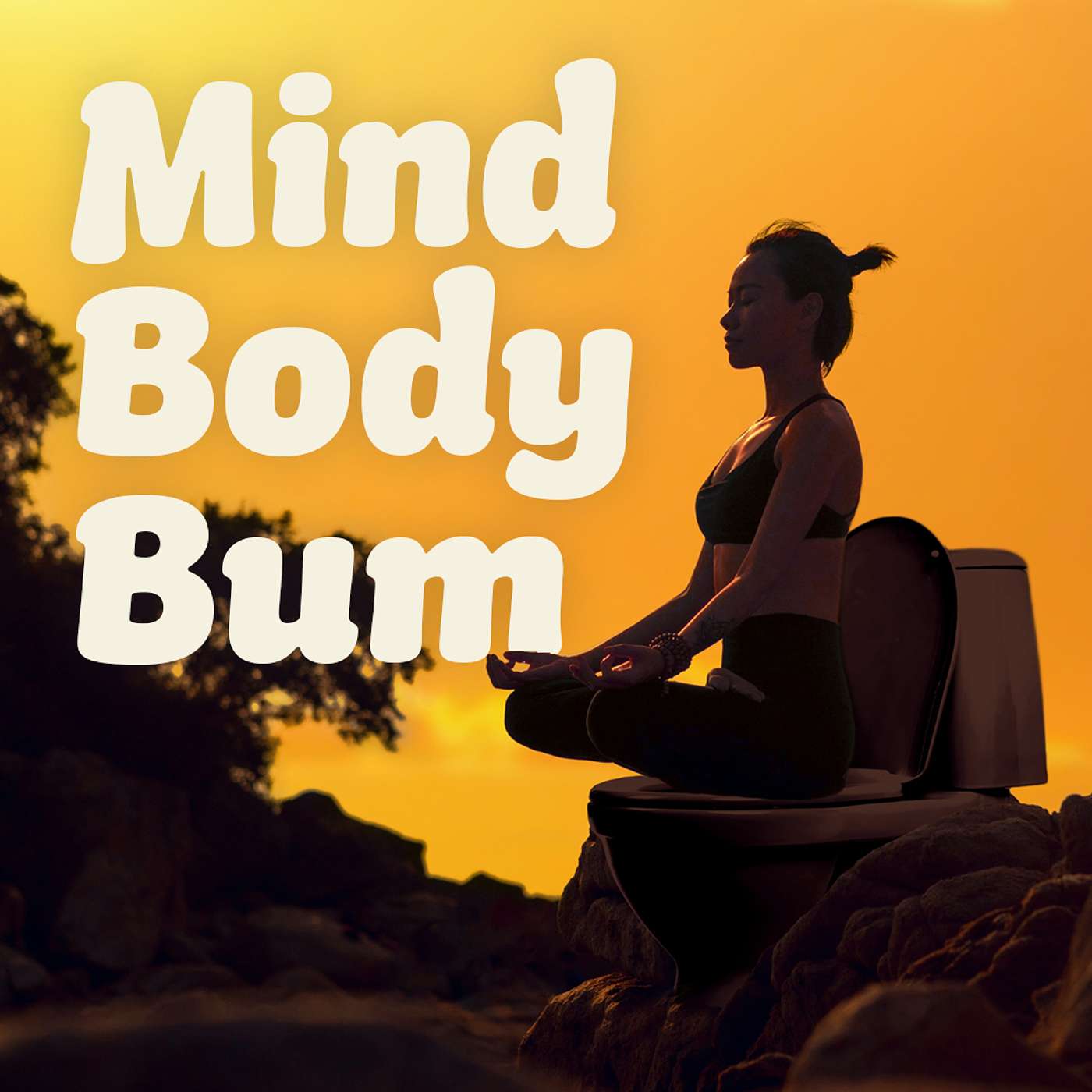 Guided toilet meditations from Who Gives A Crap podcast artwork