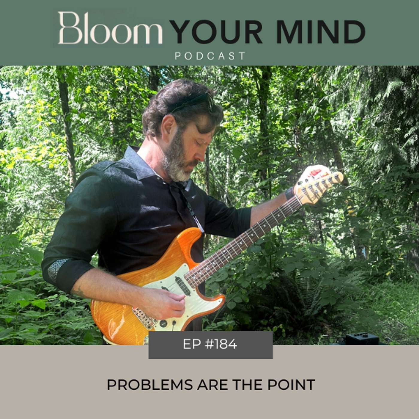 Ep 184: Problems Are the Point episode artwork