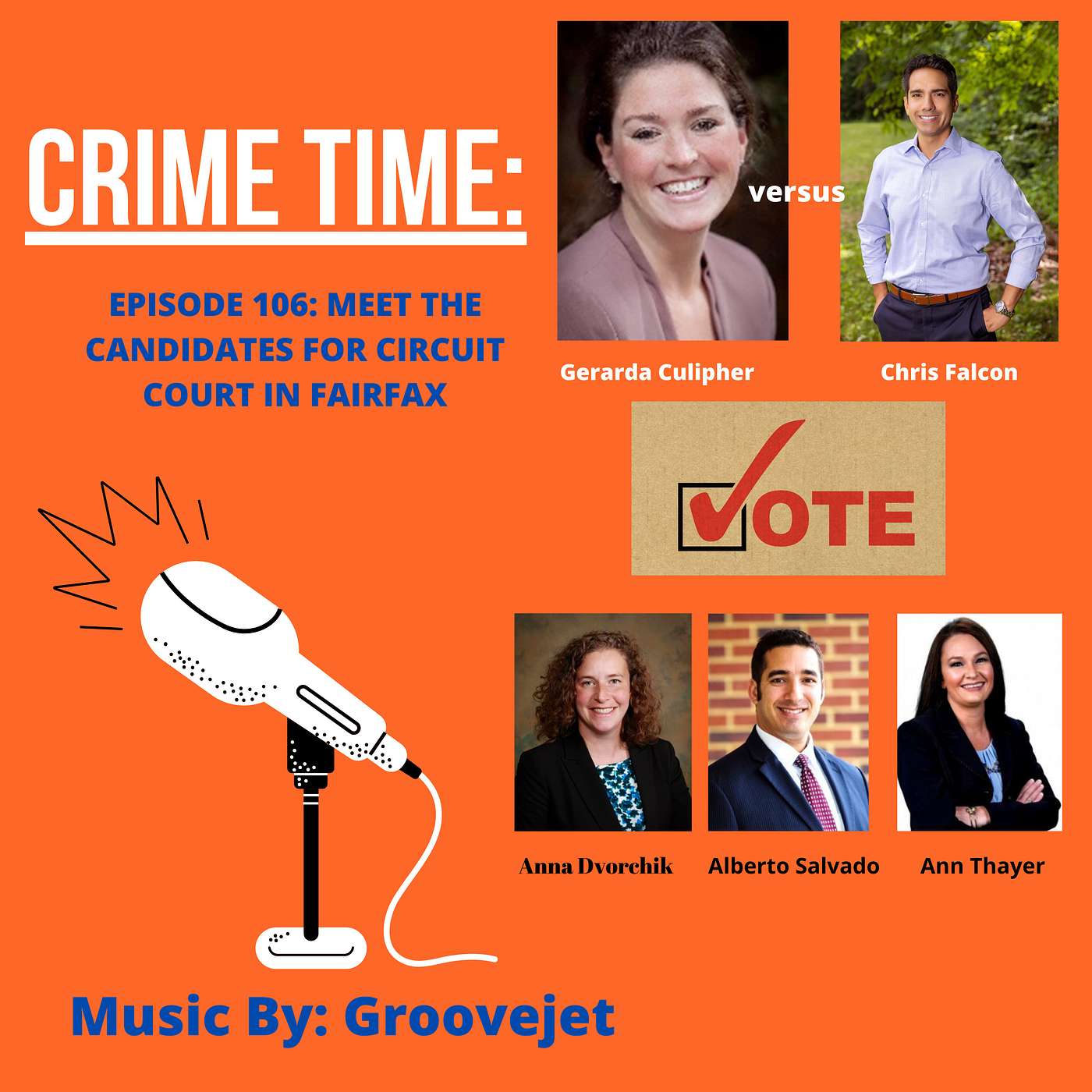 Episode 106: Meet The Candidates for Circuit Court In Fairfax