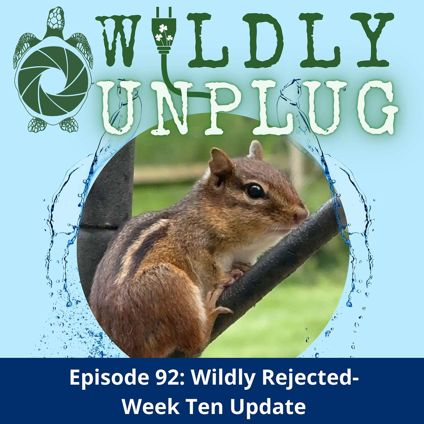 Wildly Rejected: Week 10 Update episode artwork