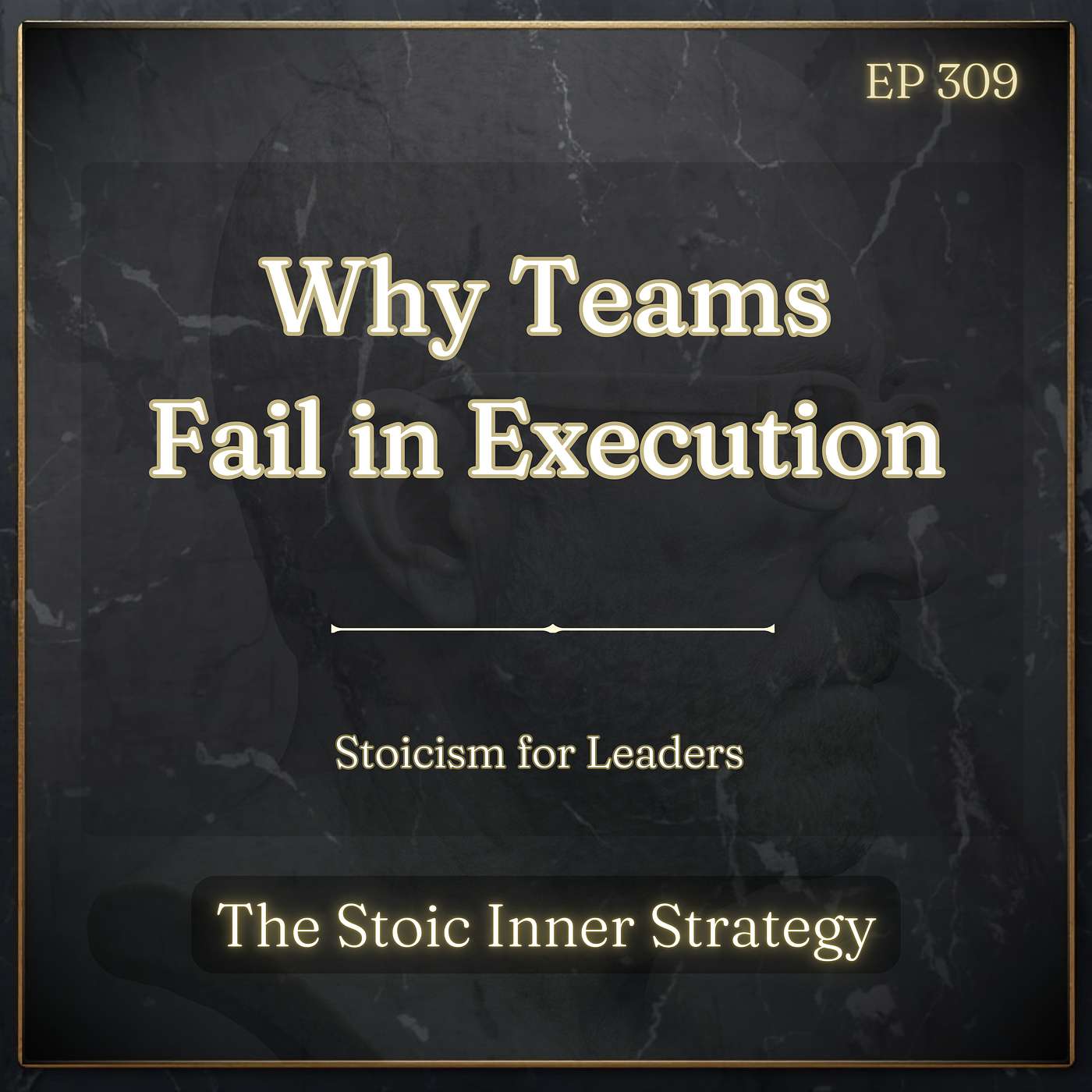 Ep 309 – Why Teams Fail in Execution episode artwork