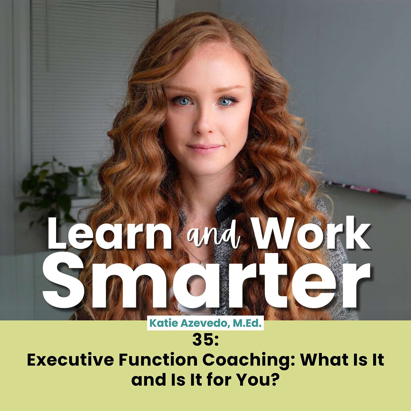 35. Executive Function Coaching: What Is It and Is It for You?