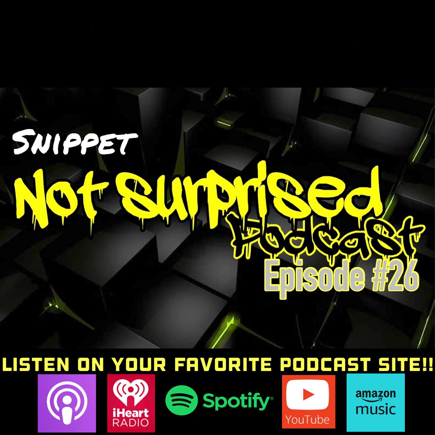 Not Surprised Podcast