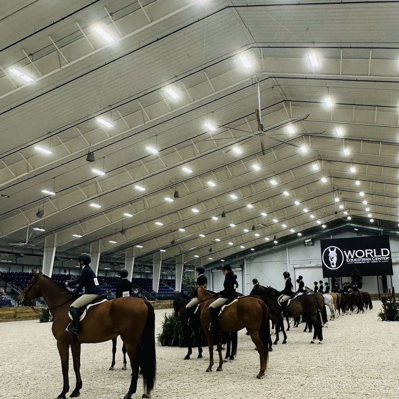 Episode 48: From “Emerging” to Mainstream—Increasing The Visibility of NCEA Equestrian