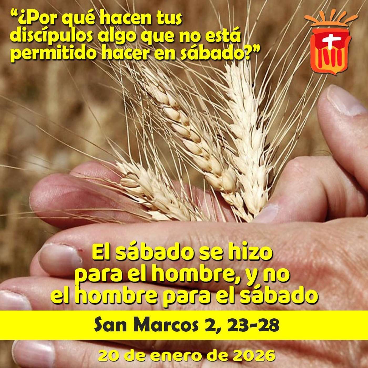 2026-01-20 San Marcos 2, 23-28: Martes II Ordinario 2026-01-20 San Marcos 2, 23-28: Martes II Ordinario