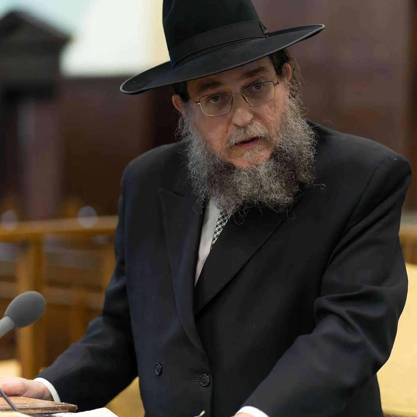 Netziv On The Parsha In Memory Of Rebbetzin Rocheil Gettinger: Va'era episode artwork