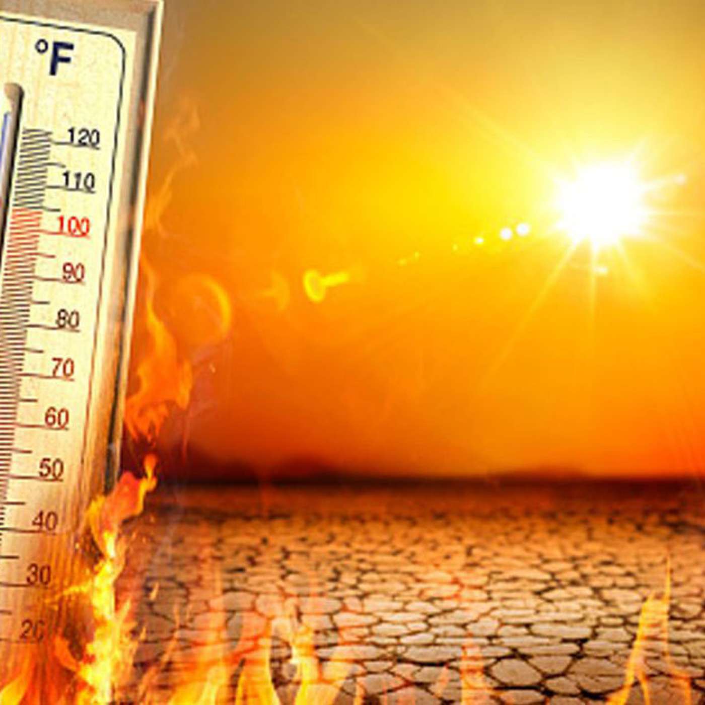 2026 : Année de tous les records climatiques episode artwork