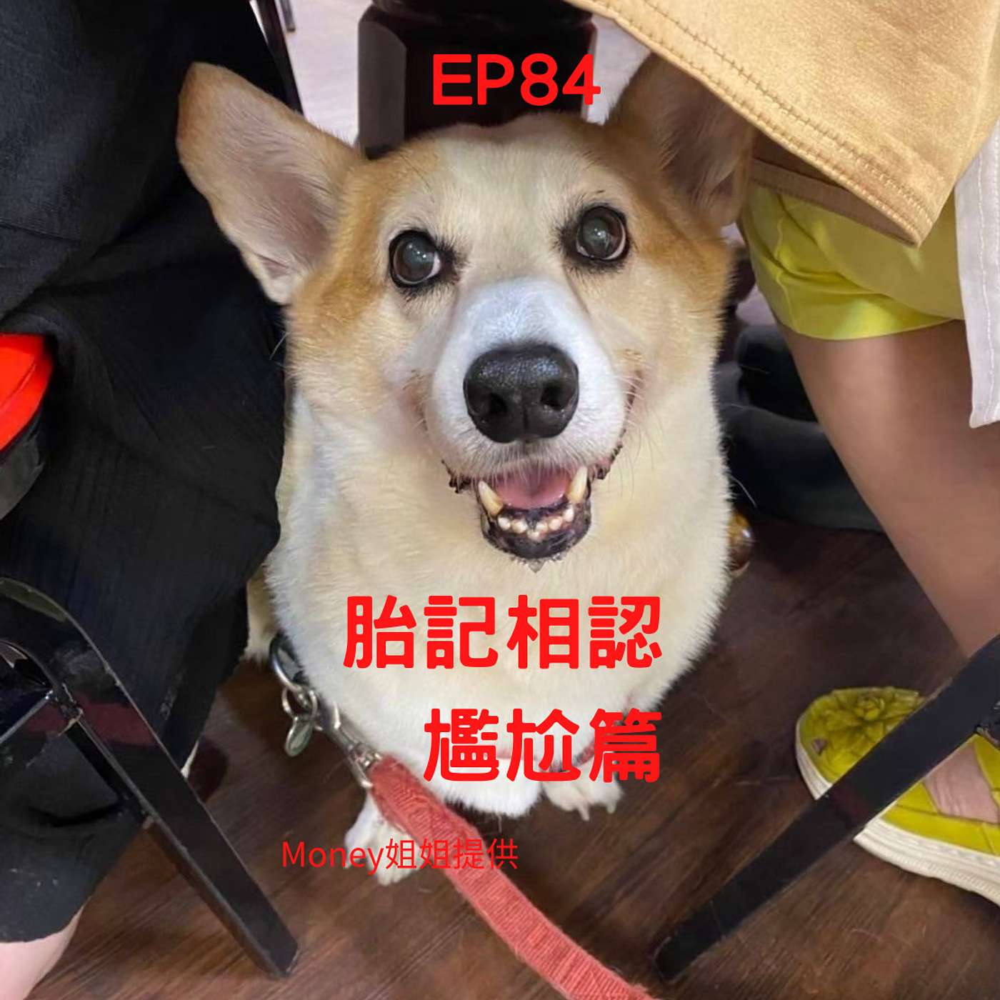 【Podcast】從0到1媒體人X斜槓 EP84 再投胎給我胎記相認好嗎？柯基竟秀出鳥鳥部位 episode artwork