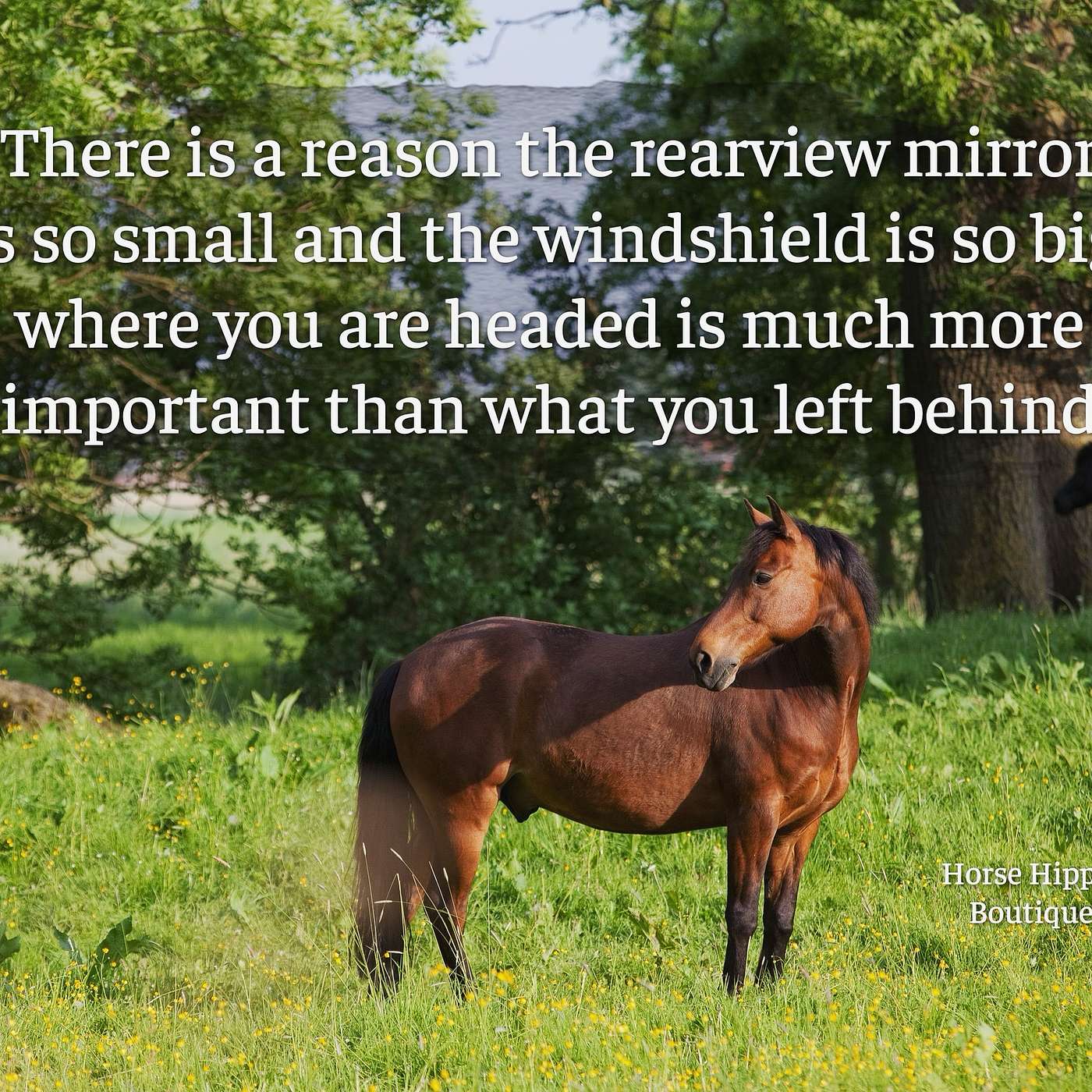 Rear view or Windshield