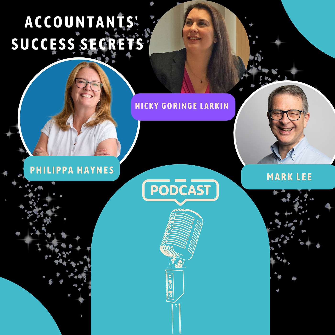 Accountants\' Success Secrets