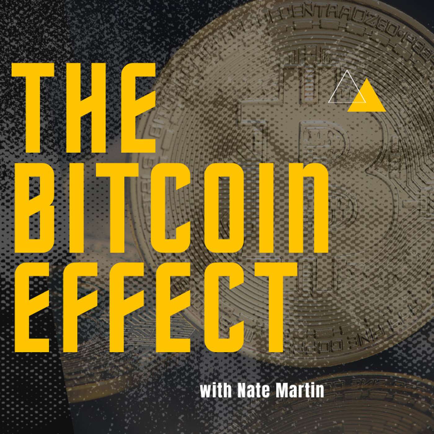 The Bitcoin Effect