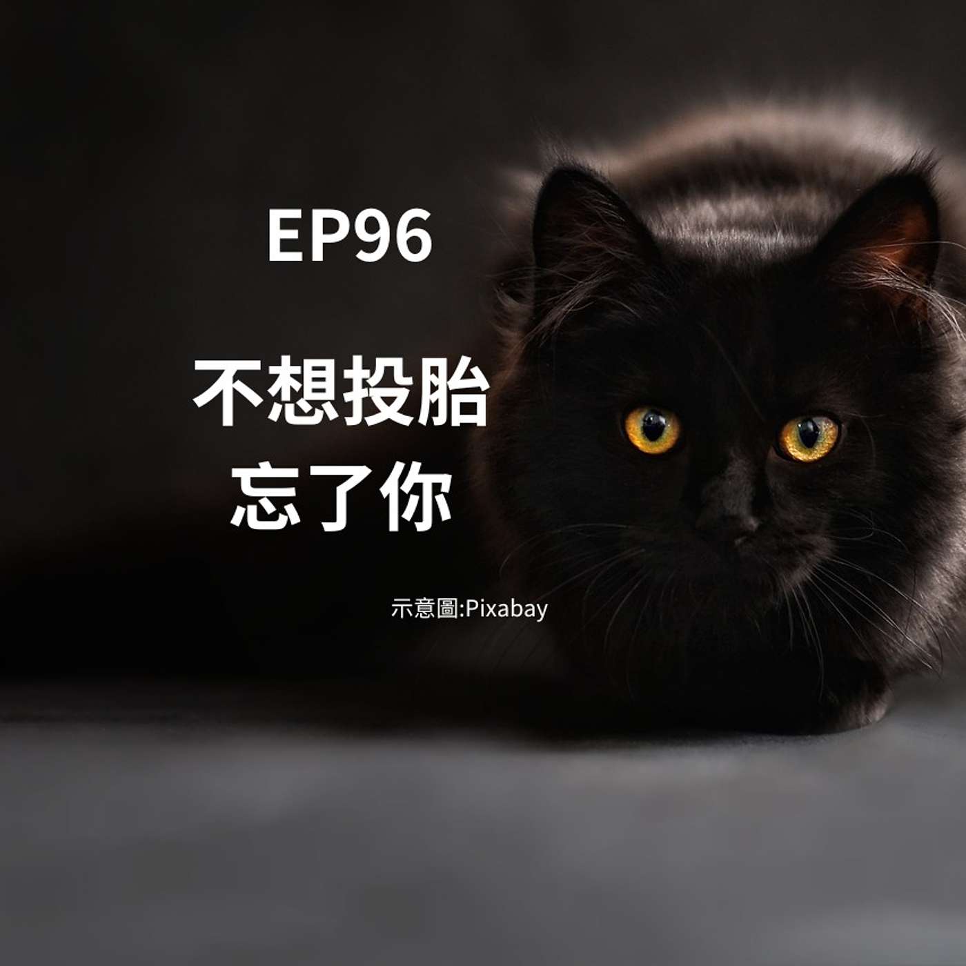 EP96黑貓：不想投胎，因為不想忘了媽麻 (柚子貍&安妮動物園/從0到1媒體人X斜槓) episode artwork