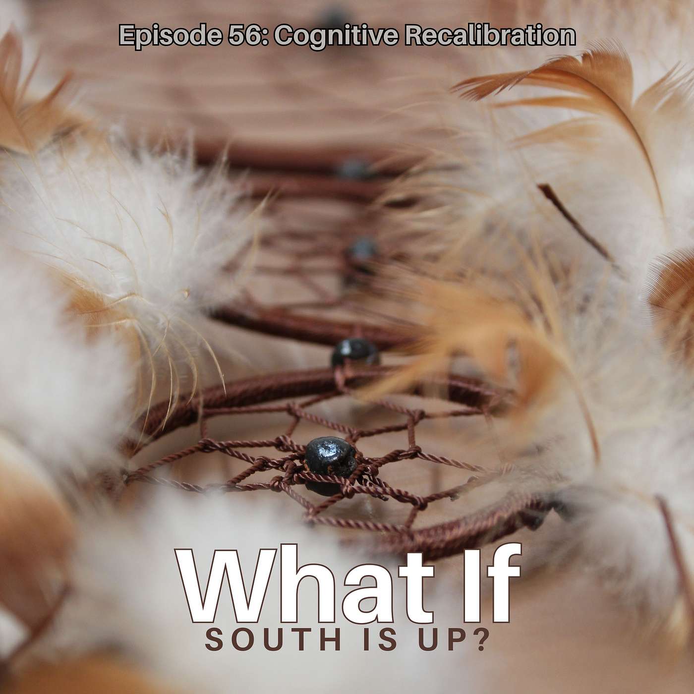 What If: South is Up?