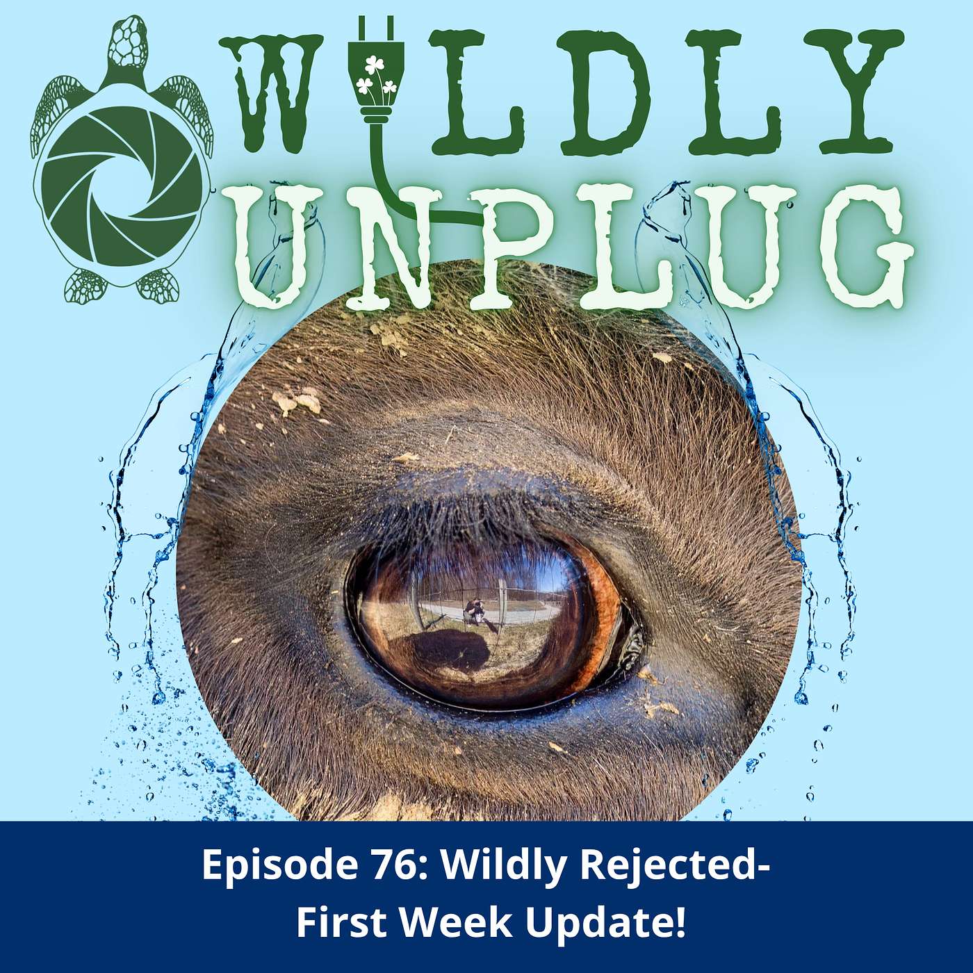 Wildly Rejected-  First Week Update!