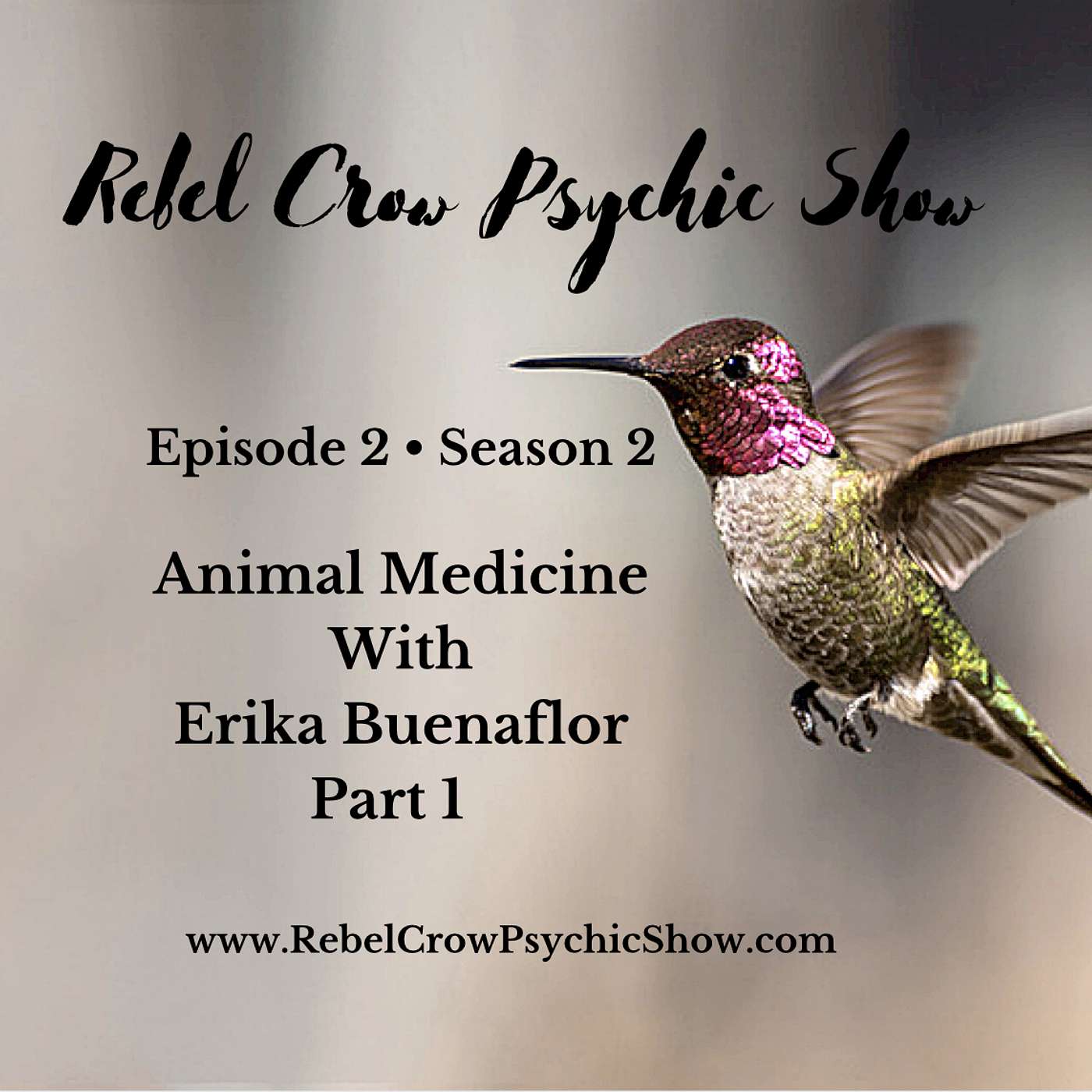 Animal Medicine Interview With Curandera, Erika Buenaflor, Part 1 Shapeshifting With Animal Guides - Episode 2 Season 2