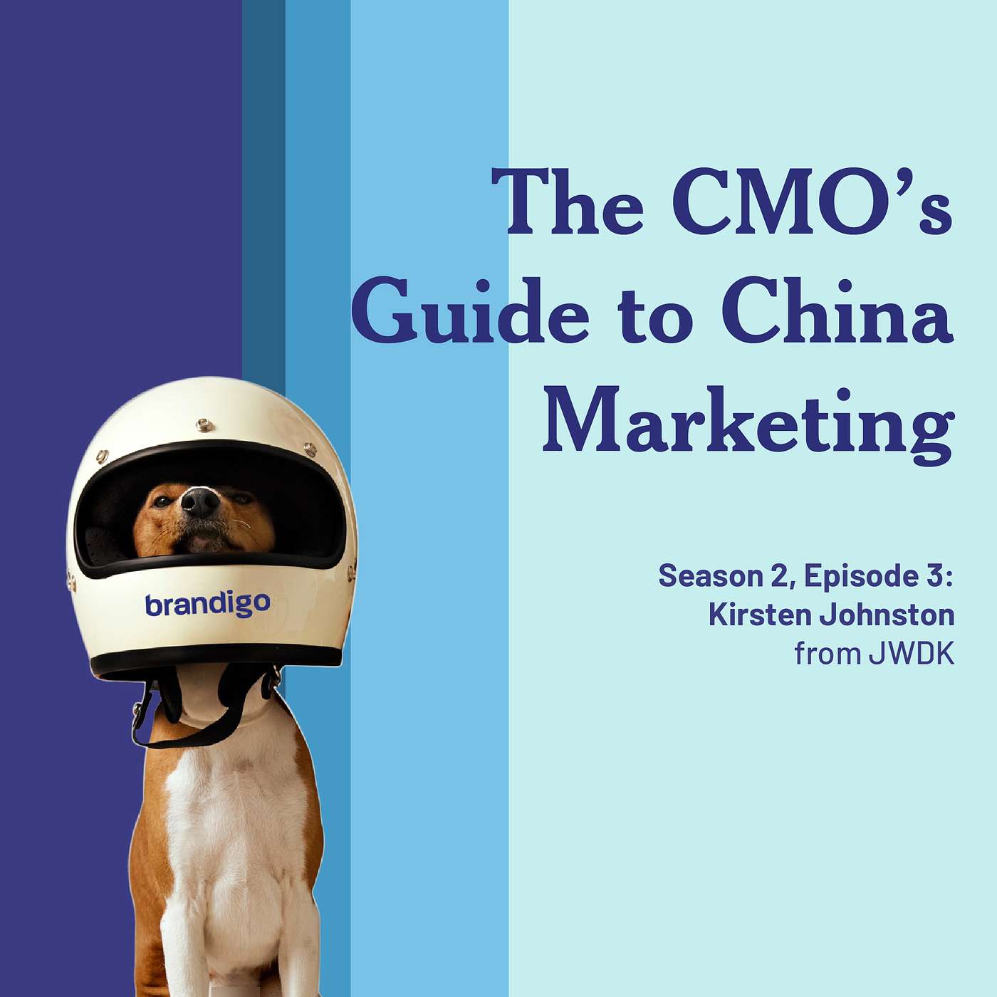 The Radical Global Marketing Podcast
