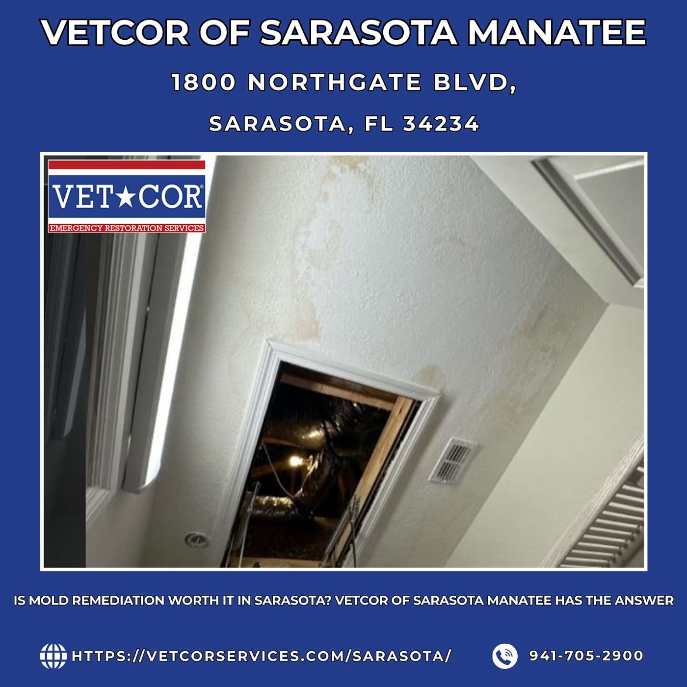 Is Mold Remediation Worth It in Sarasota? VetCor of Sarasota Manatee Has the Answer episode artwork