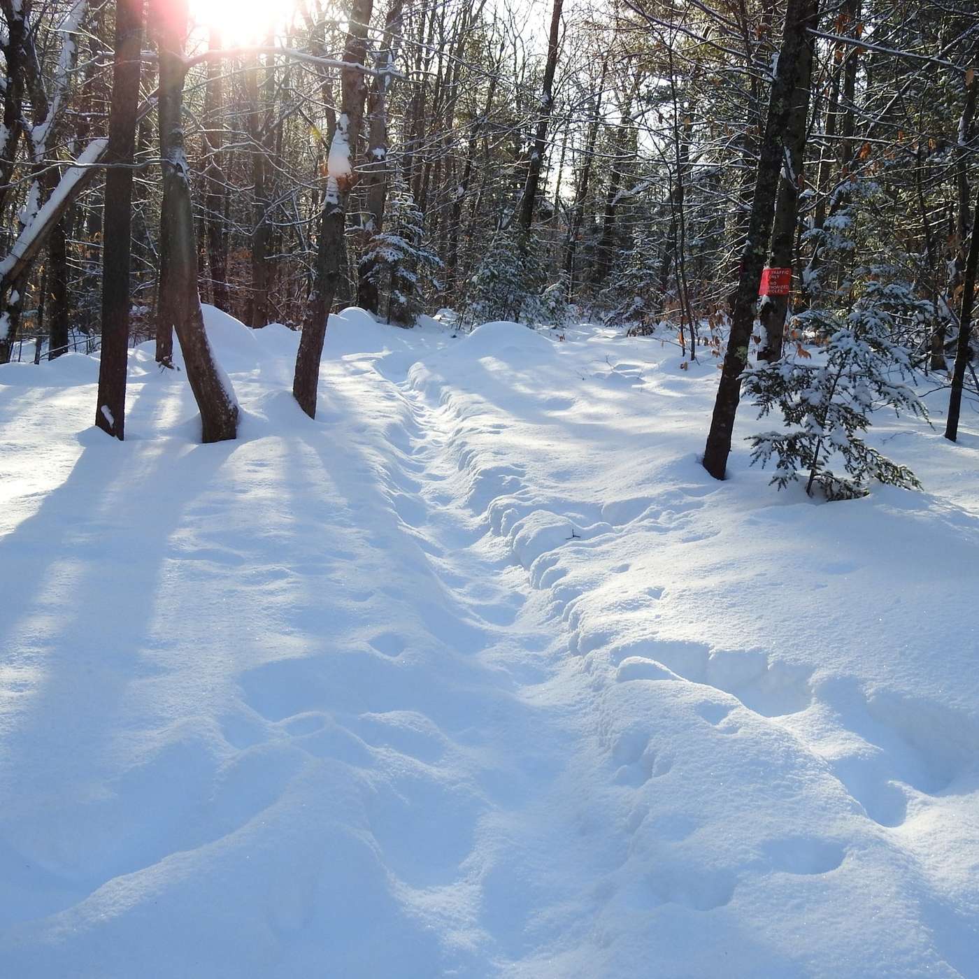 WHAT GIVES YOU JOY IN NATURE?