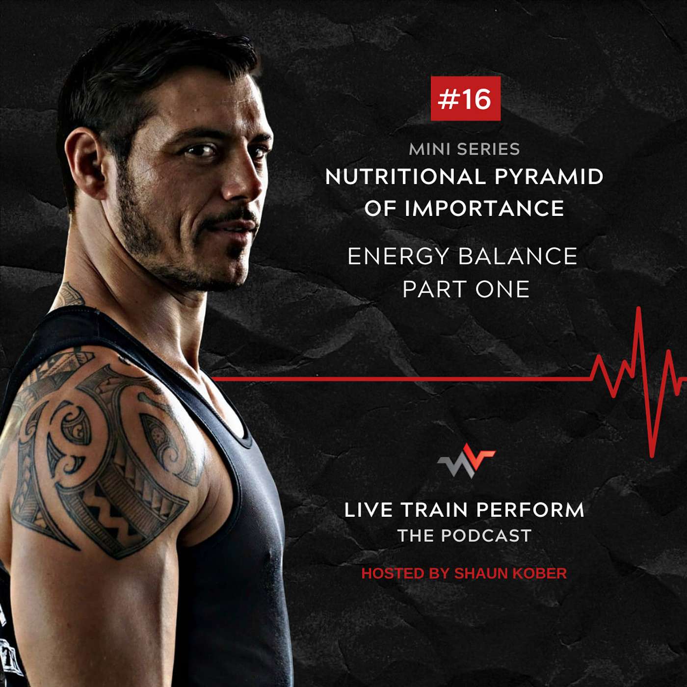 Episode 16: Nutritional Pyramid of Importance Mini Series: Energy Balance Part 1 episode artwork