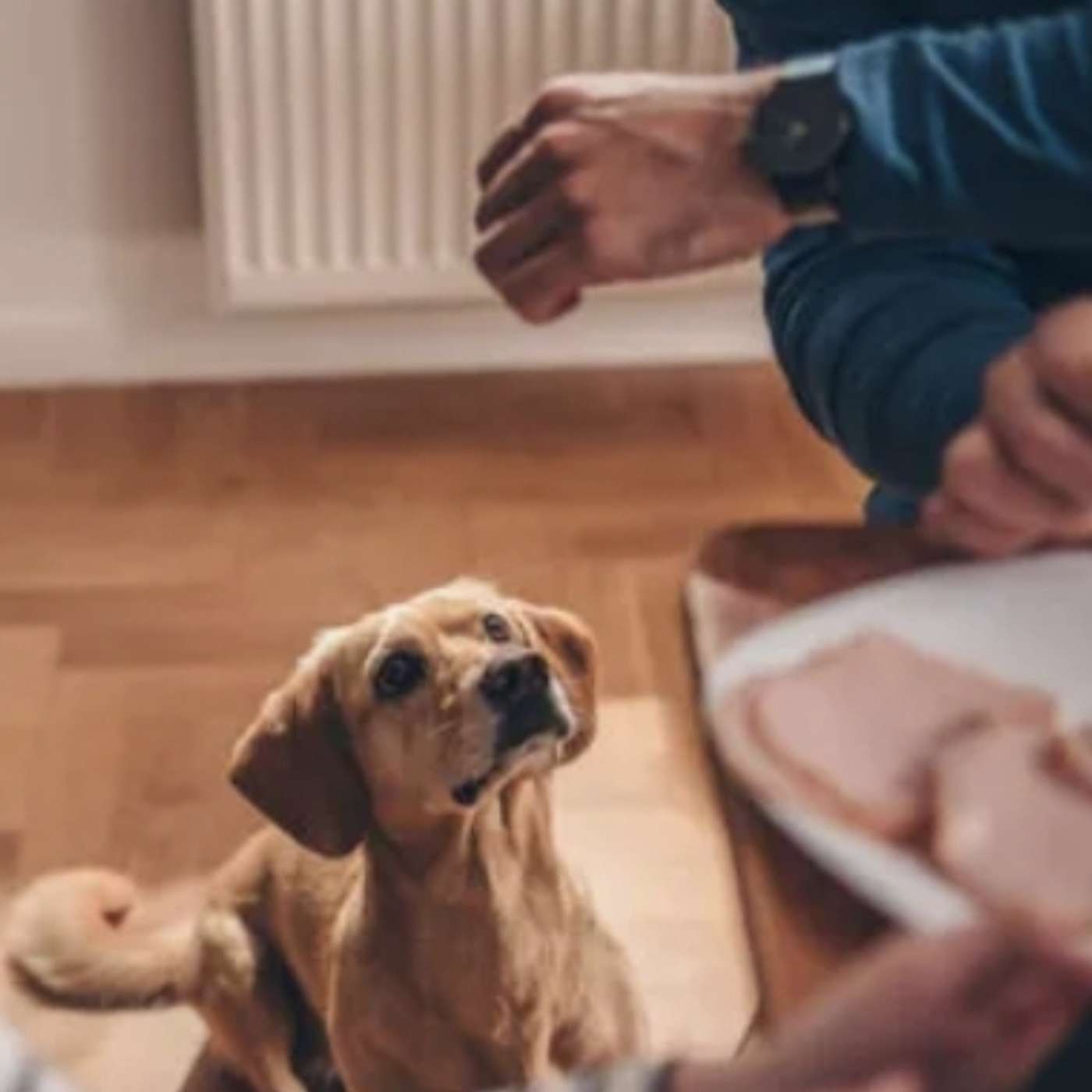Crumb Snatchers: A Call To The Table