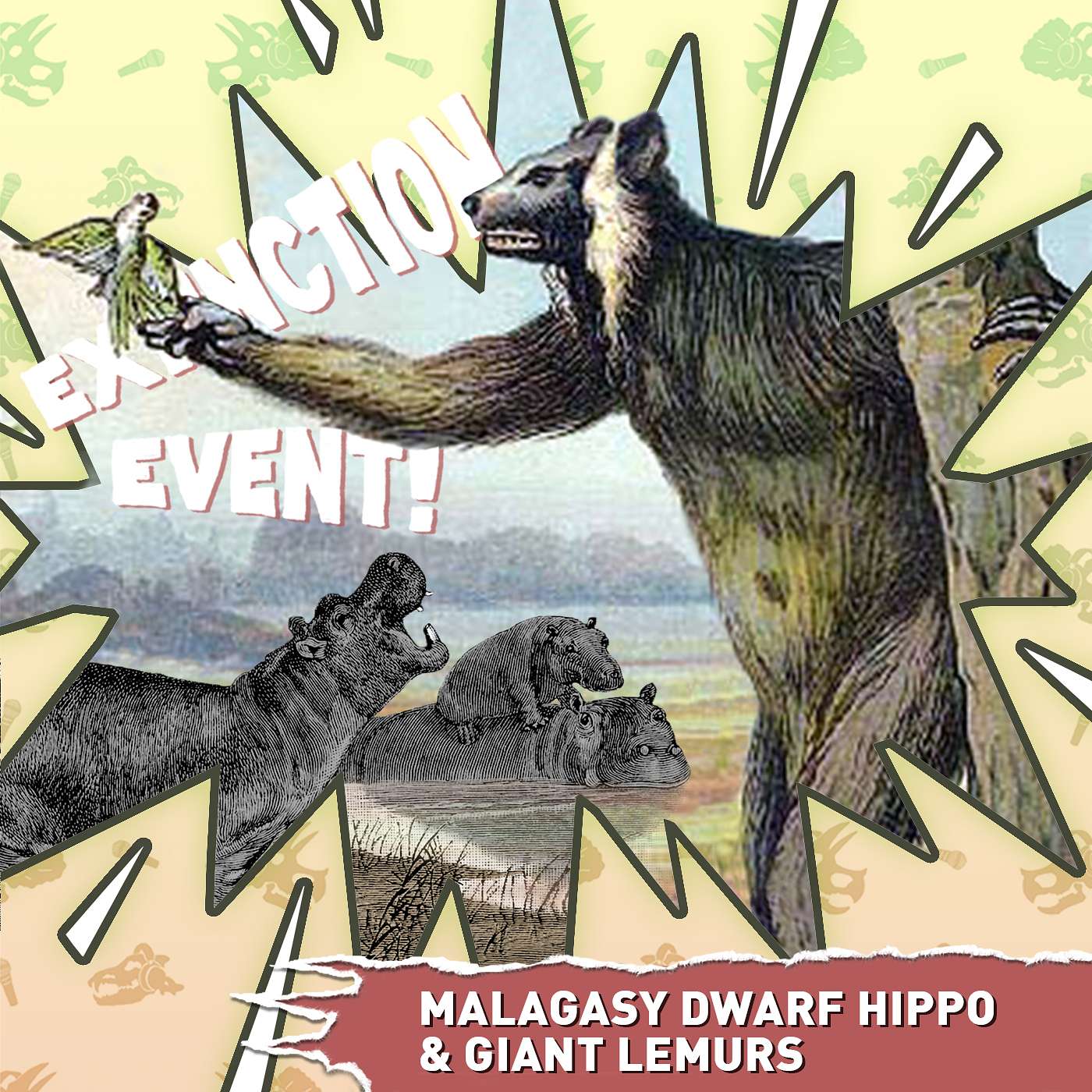 Malagasy Dwarf Hippo & Giant Lemurs of Madagascar