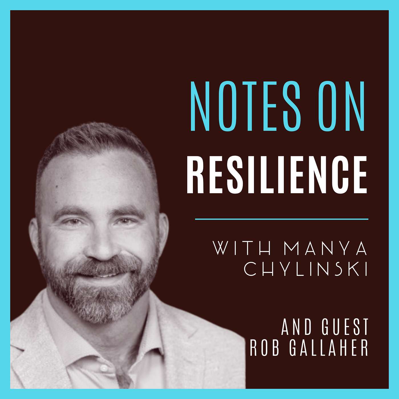 Notes on Resilience