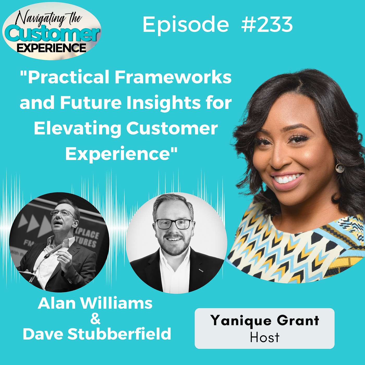 cover of episode 233: Practical Frameworks and Future Insights for Elevating Customer Experience with Alan Williams and Dave Stubberfield