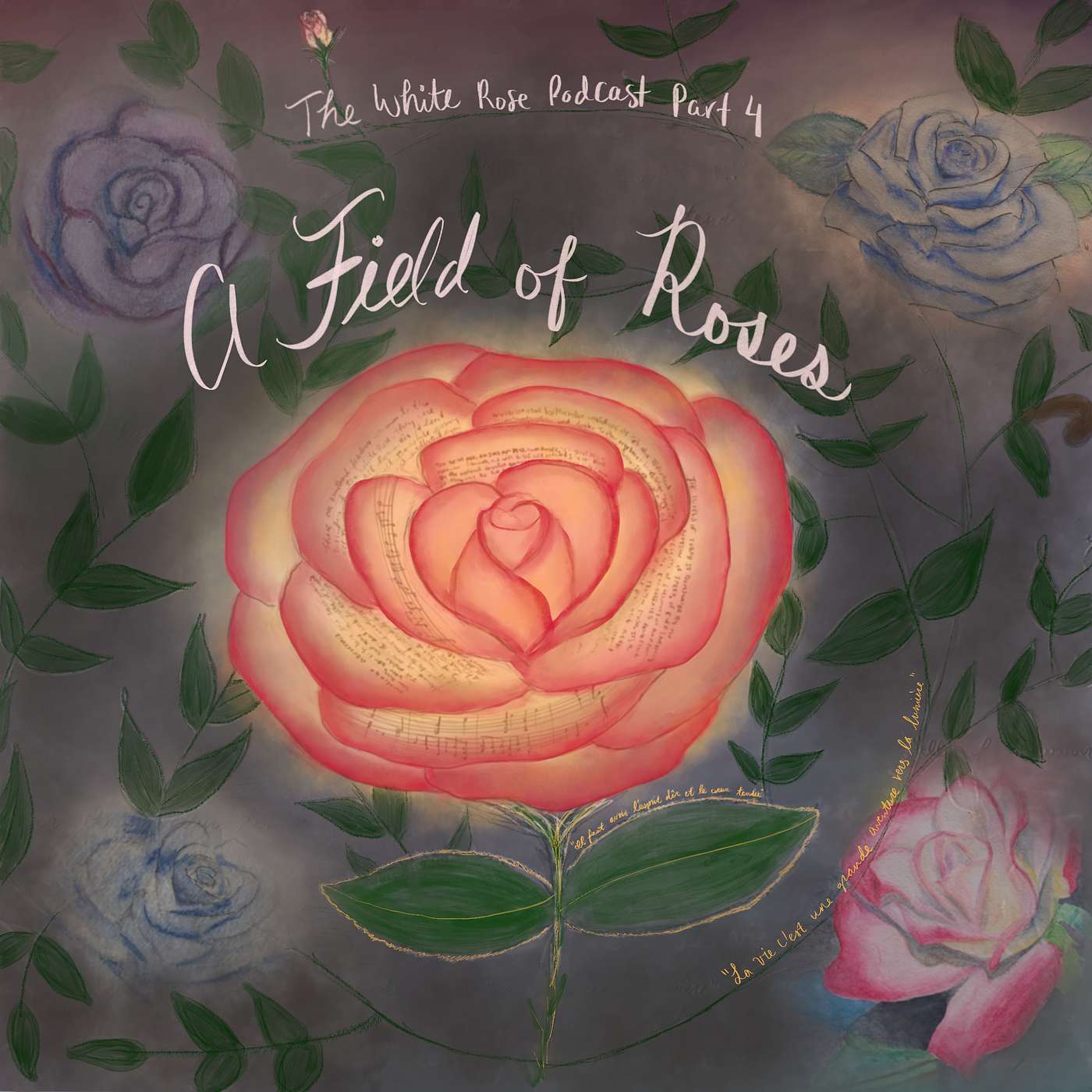 Part 4: A field of roses