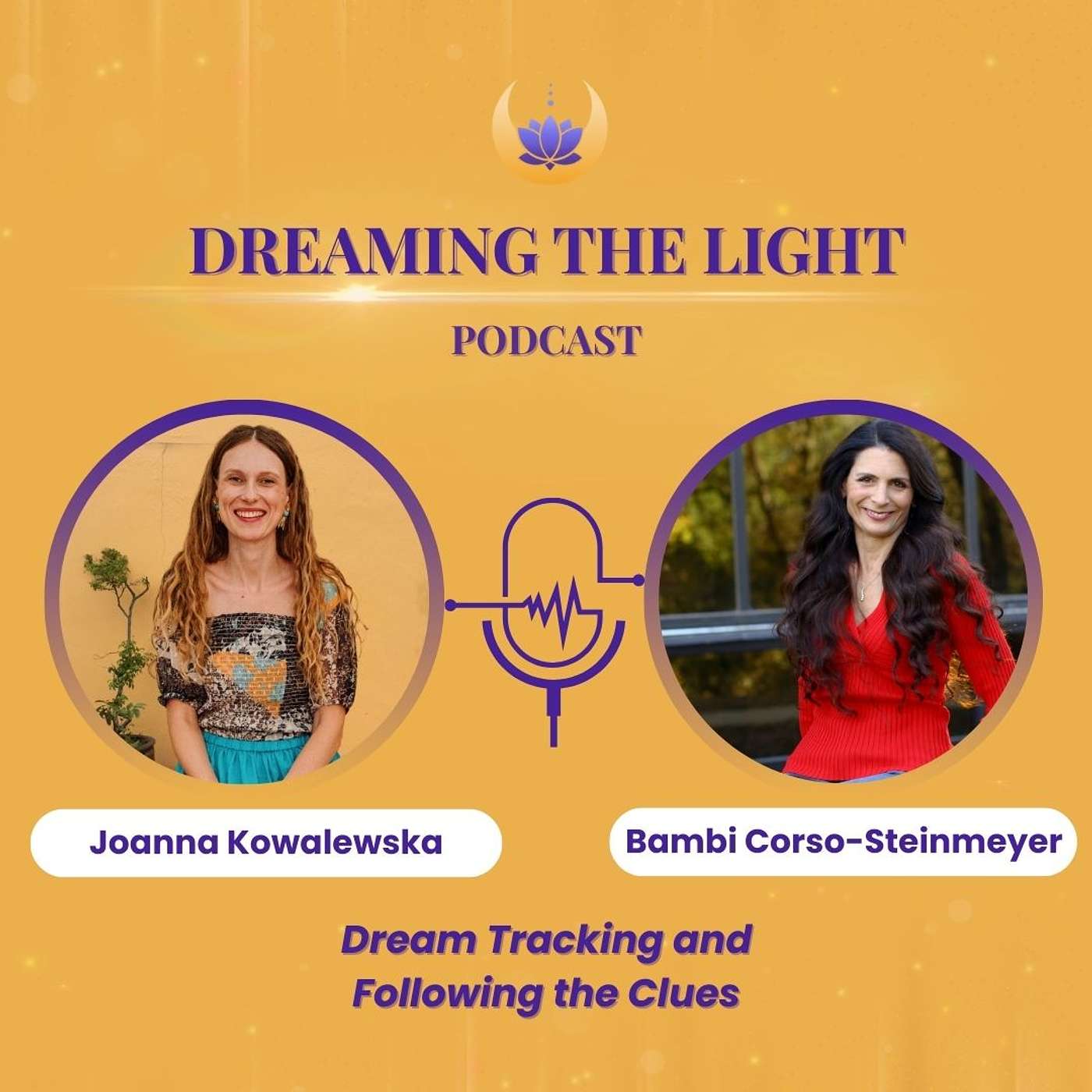 Dream Tracking and Following the Clues with Bambi Corso-Steinmeyer episode artwork