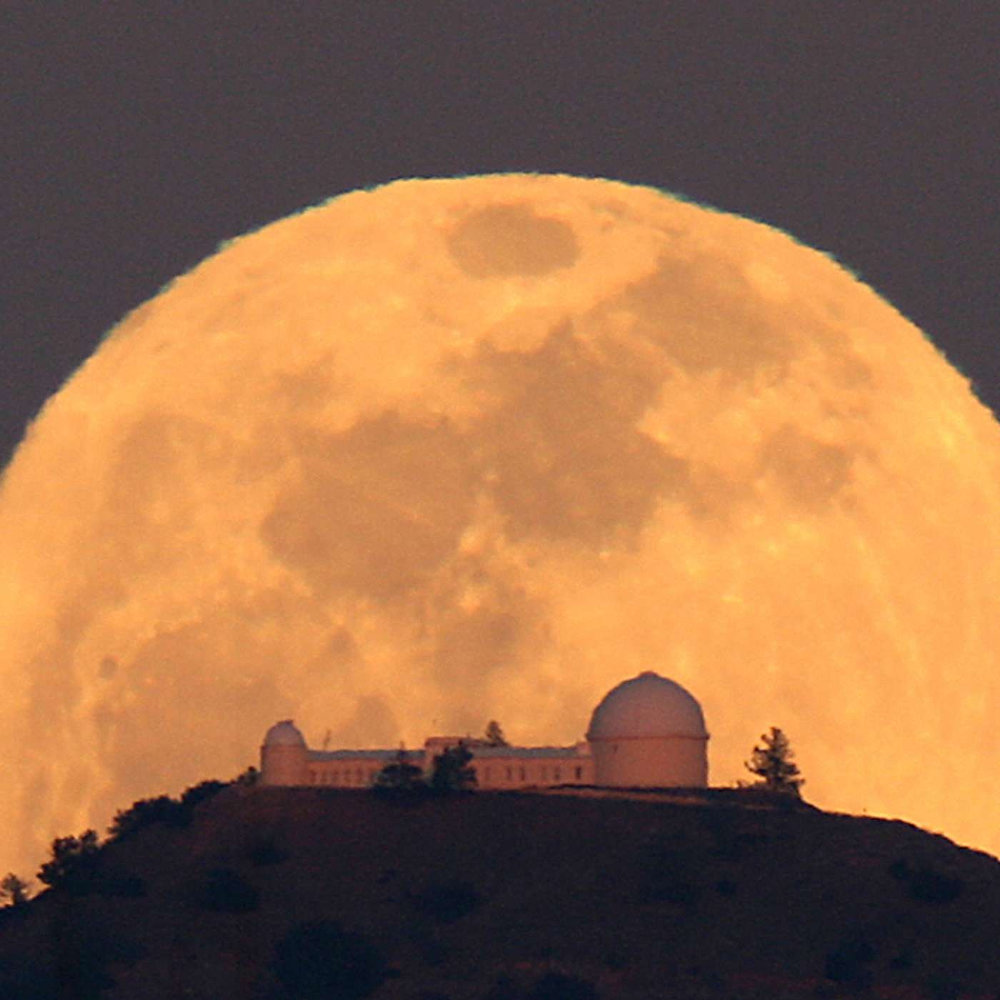 Lick Observatory During Pandemics: 1918 and 2020 (with Dr. Elinor Gates)