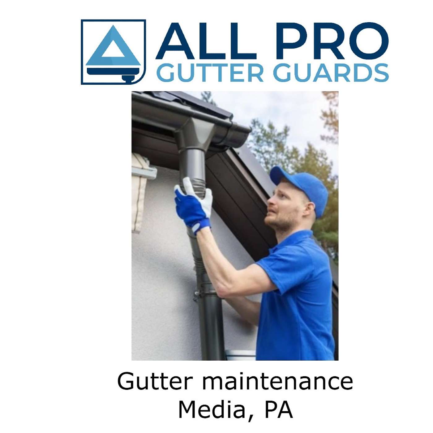 Gutter maintenance Media, PA episode artwork