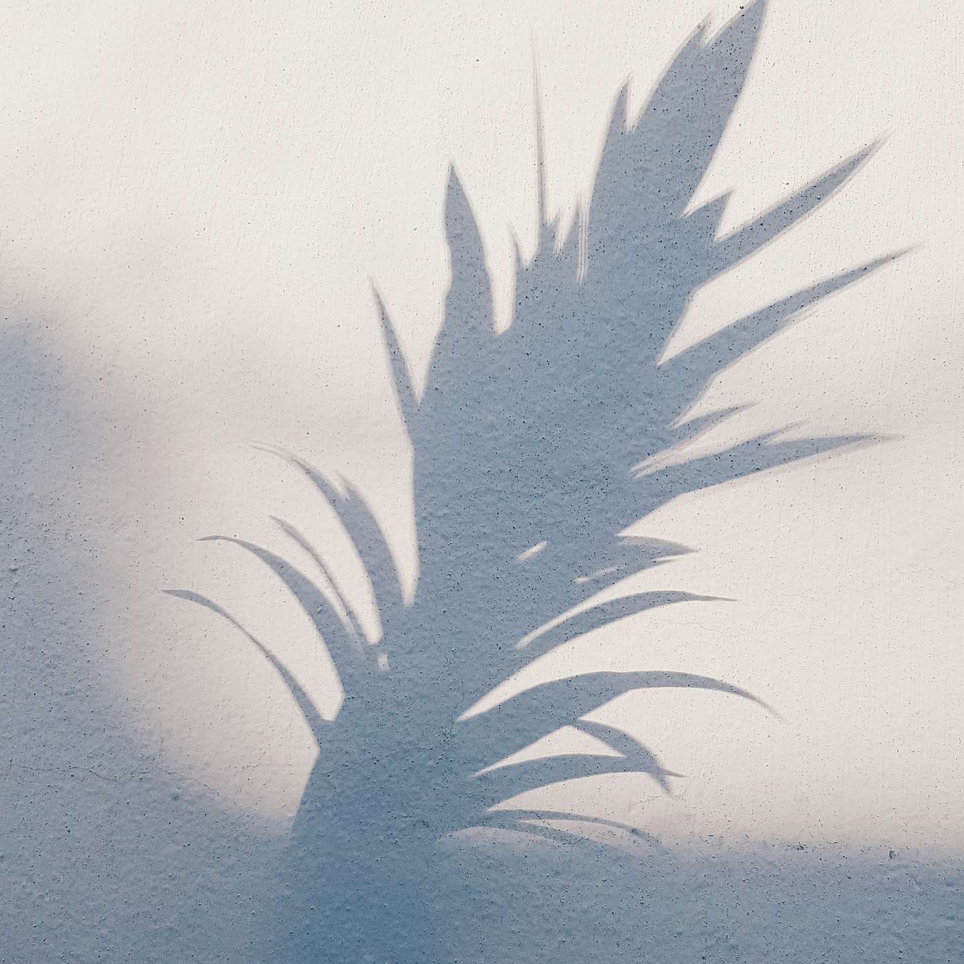 The Tao Te Ching for Everyday Living
