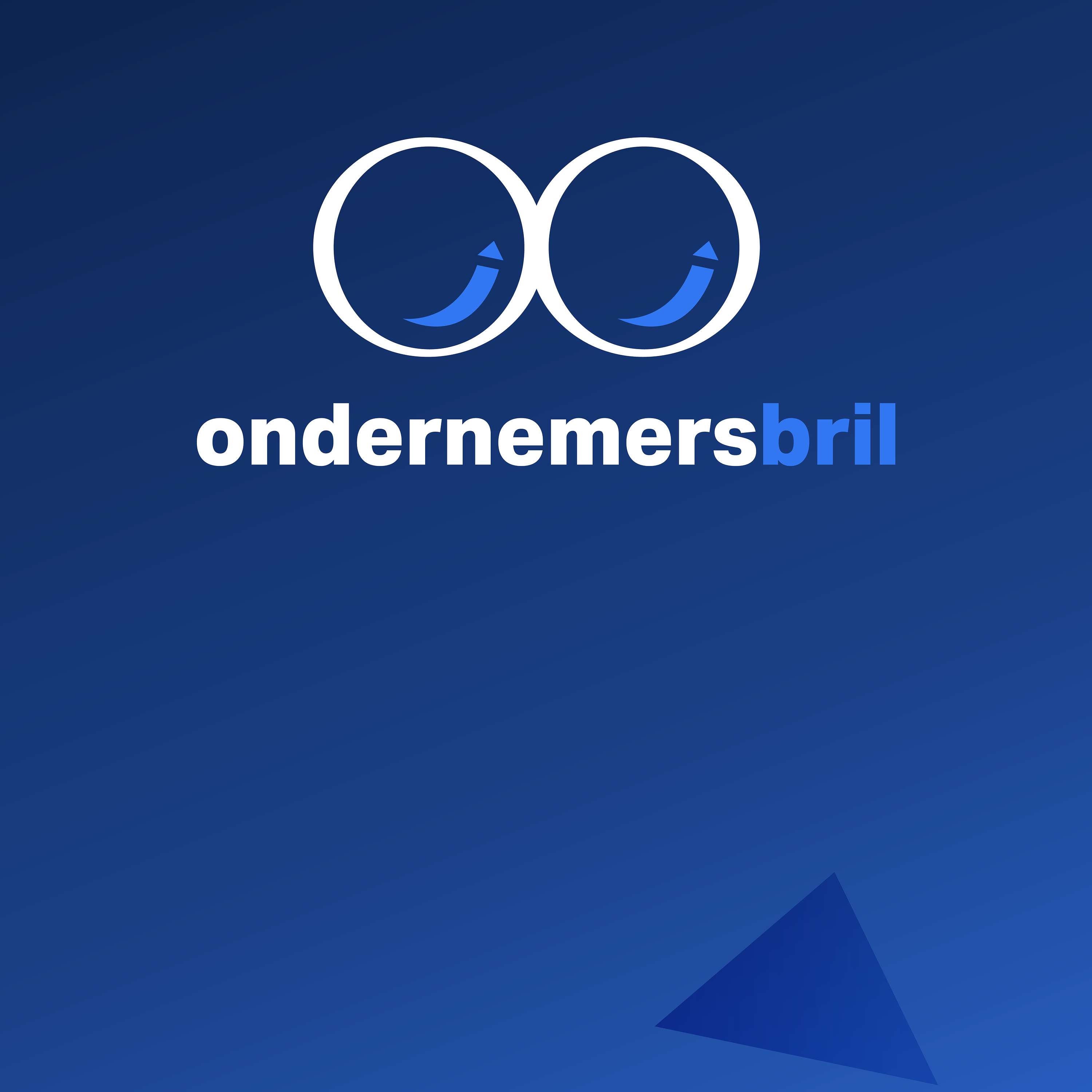 Ondernemersbril
