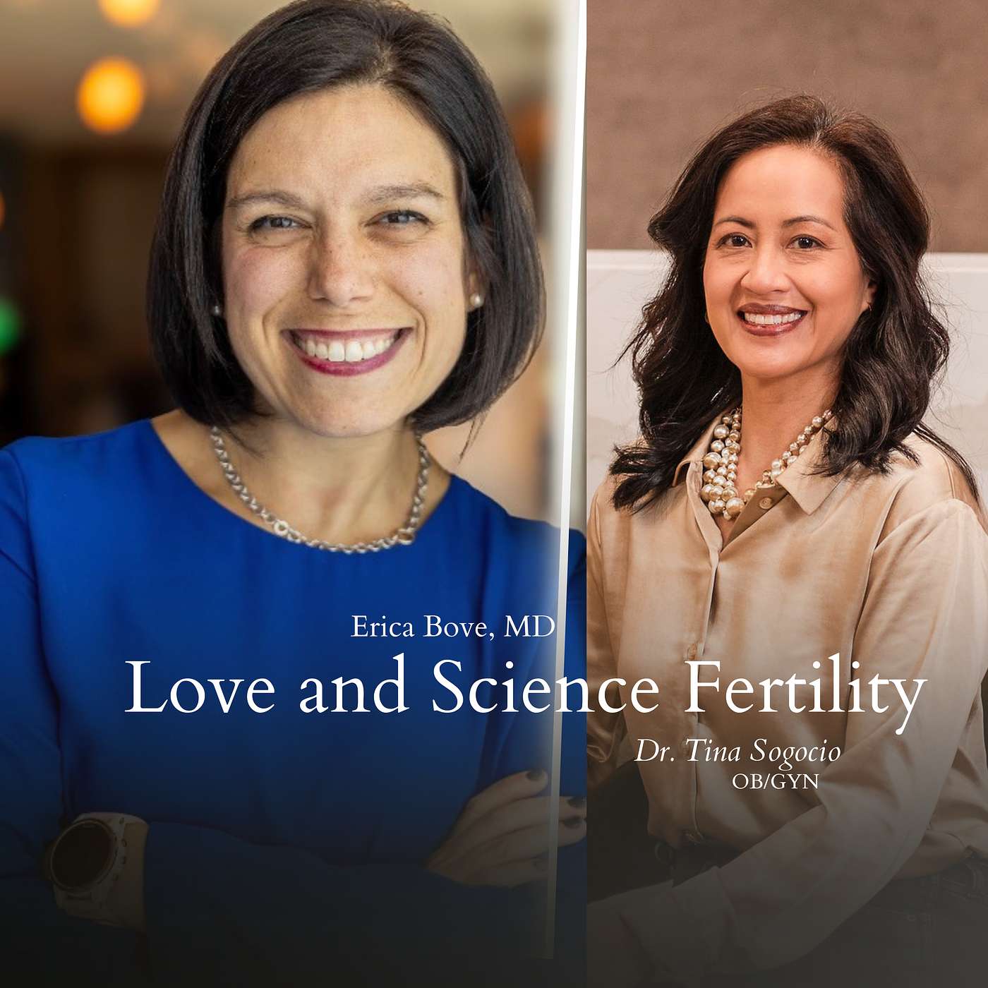 Perimenopause & Infertility: Brain Fog, Hormones, and the Menopause “Awakening” | Dr. Tina Segocio episode artwork