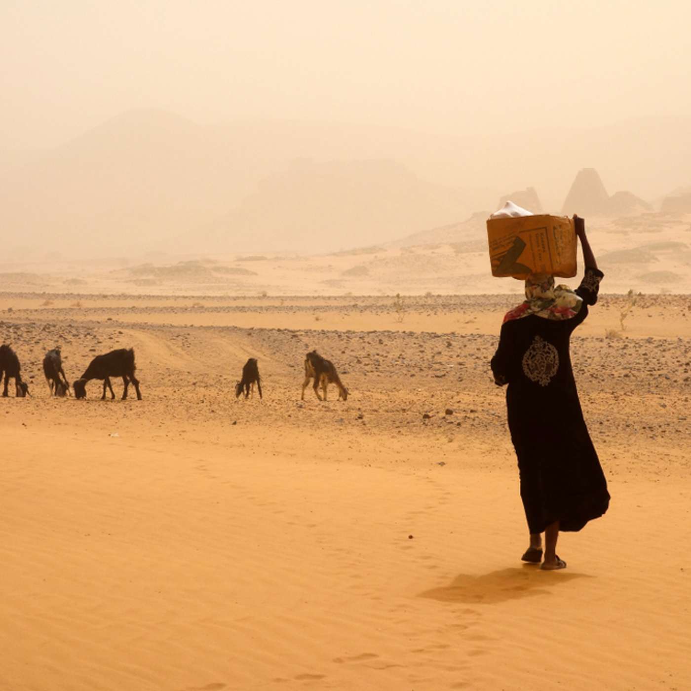 A Humanitarian Crisis in Sudan